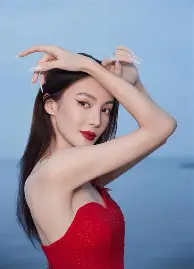 新奥尔良黄蜂和夏洛特黄蜂